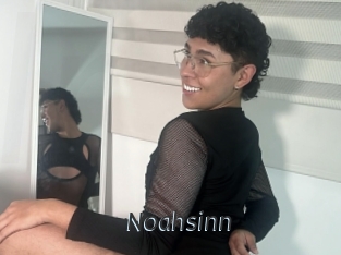 Noahsinn