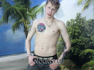 Noakarter