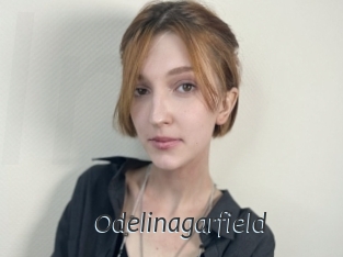 Odelinagarfield