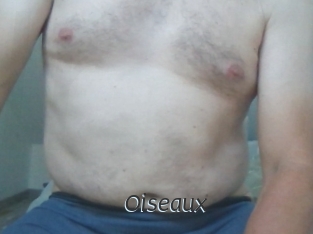 Oiseaux