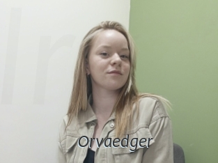 Orvaedger