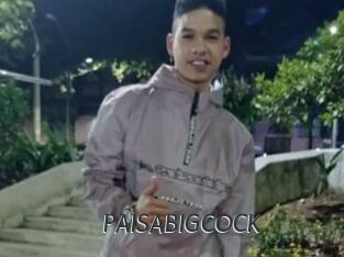 PAISABIGCOCK