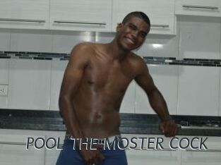 POOL_THE_MOSTER_COCK
