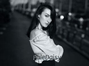 PaleDaisy Ligne Rose