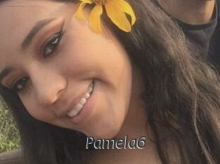 Pamela6