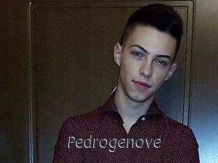 Pedrogenove