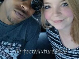 PerfectMixture3828