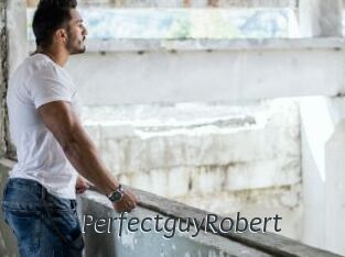 PerfectguyRobert