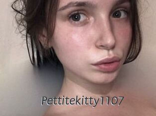 Pettitekitty1107