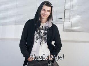 PlayfulNigel