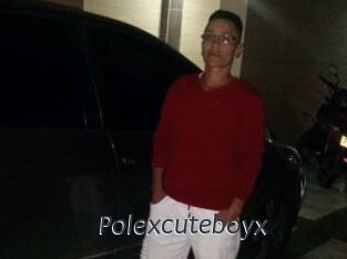 Polexcuteboyx