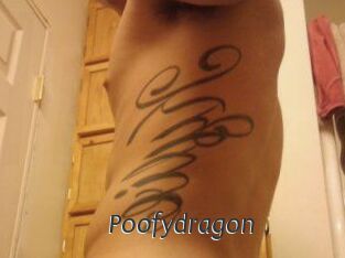 Poofydragon