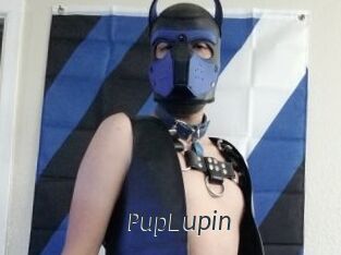 PupLupin Ligne Rose