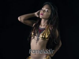 Pameladir