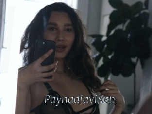 Paynadiavixen