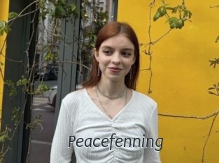 Peacefenning
