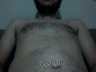 Pedwil