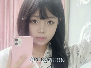 Penegemma