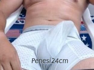 Penesi24cm