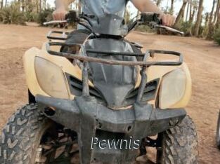 Pewnis