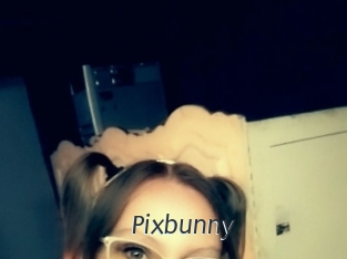 Pixbunny
