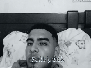Pollbigdick