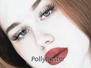 Pollynaster