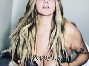 Poppybud