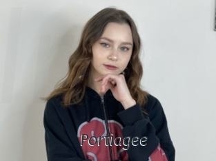 Portiagee