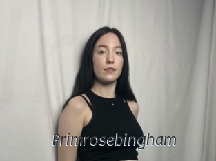 Primrosebingham