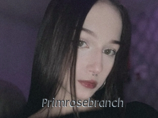 Primrosebranch