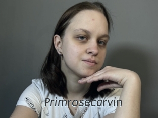 Primrosecarvin