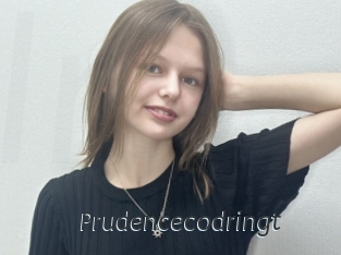 Prudencecodringt