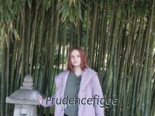 Prudencefigge