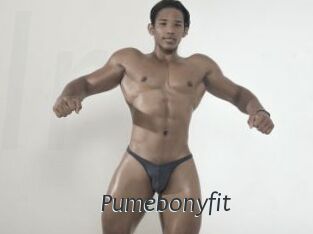 Pumebonyfit