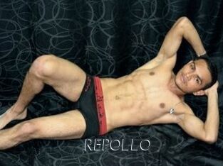 REPOLLO