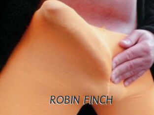ROBIN_FINCH