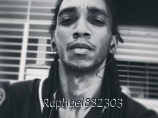 Raphael882303