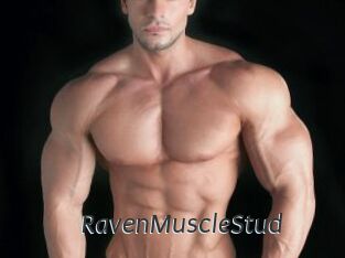RavenMuscleStud