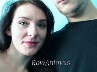 RawAnimals