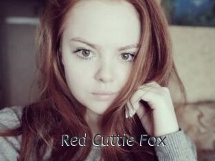 Red_Cuttie_Fox