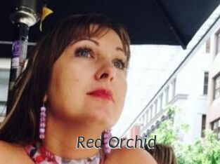 Red_Orchid