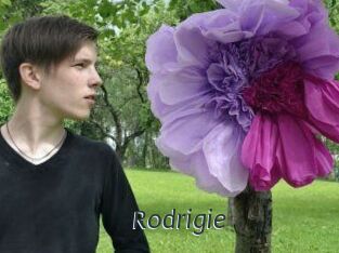 Rodrigie