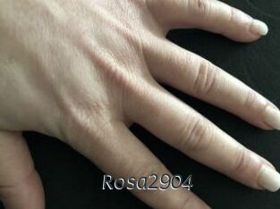 Rosa2904
