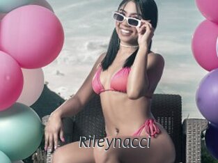 Rileynacci