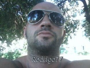 Rodrigo77