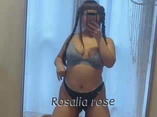 Rosalia_rose