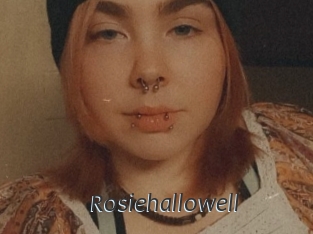 rosiehallowell Ligne Rose