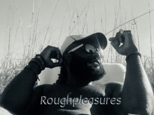 Roughpleasures