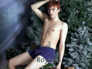 Royzein